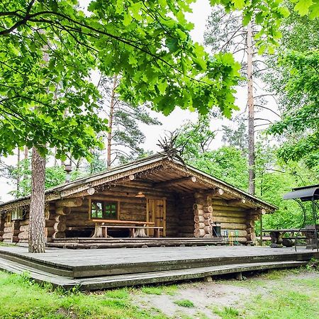 Forest Hut Stariy Prud Pylypovychi Zewnętrze zdjęcie